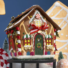Gingerbread Houses House Bag - LAST ONE!
