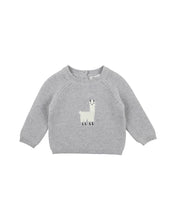 Llama Jumper