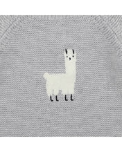 Llama Jumper