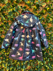 Dinosaur Navy Colour Changing Raincoat