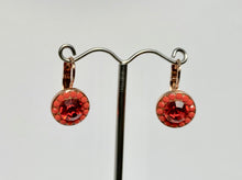 Earrings 1129 1031